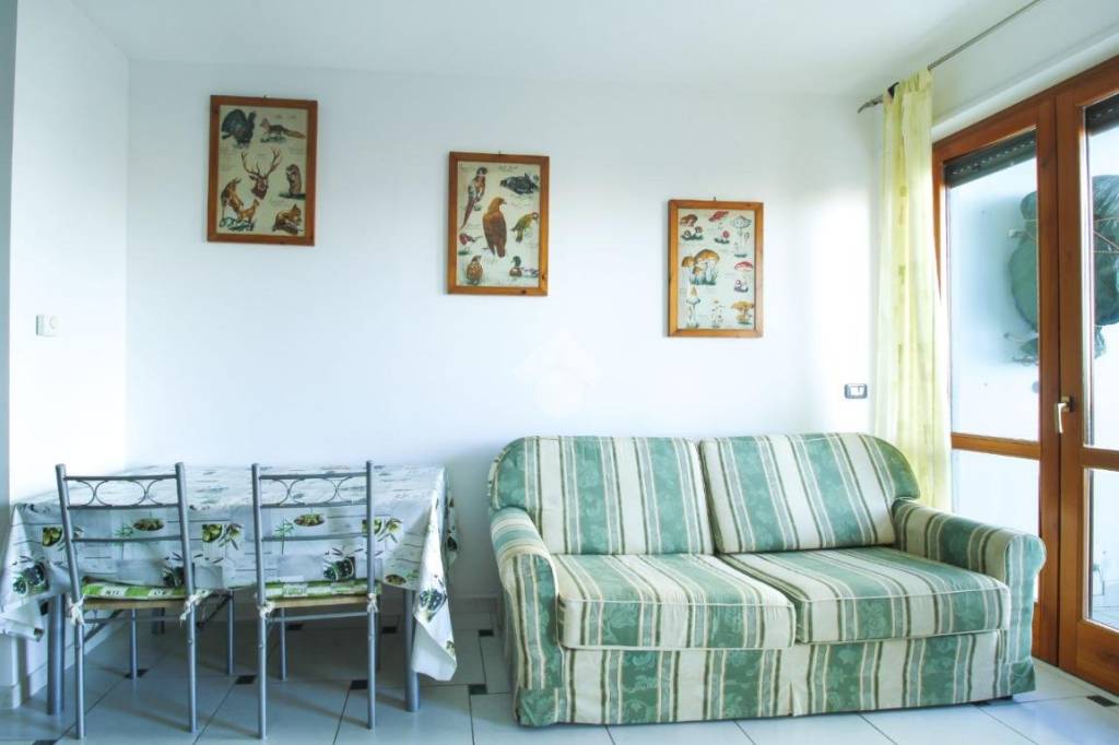 immagine annuncio 6 di 14