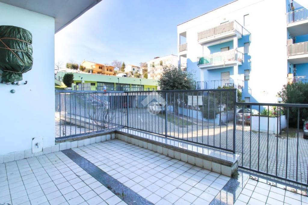 immagine annuncio 11 di 14