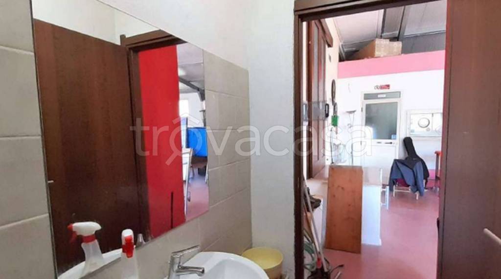 immagine annuncio 10 di 12