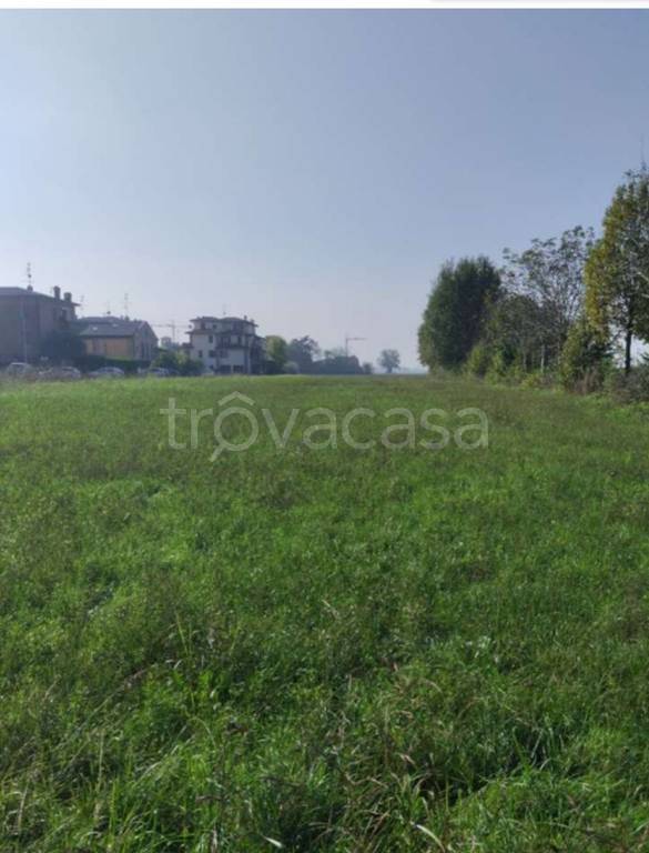 immagine annuncio 3 di 13