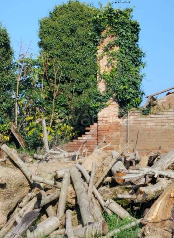 immagine annuncio 7 di 13