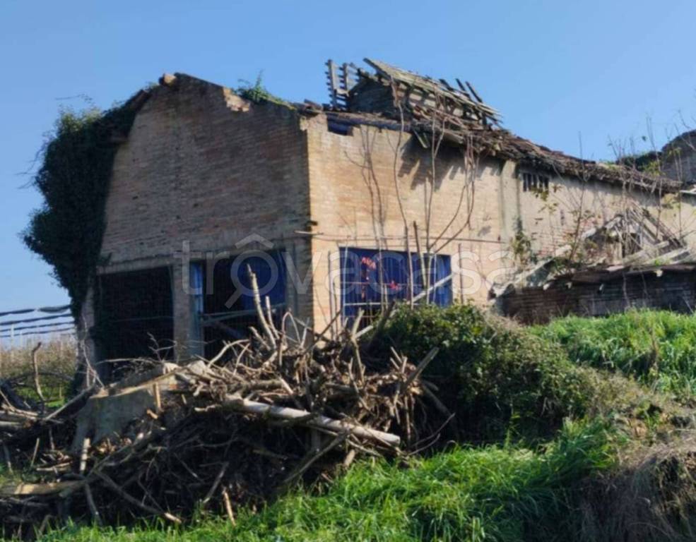 immagine annuncio 11 di 13