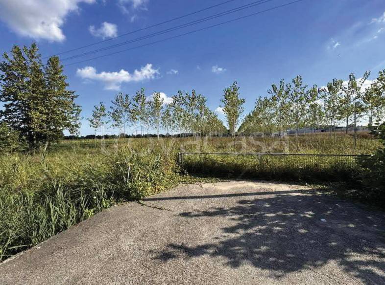 immagine annuncio 1 di 13