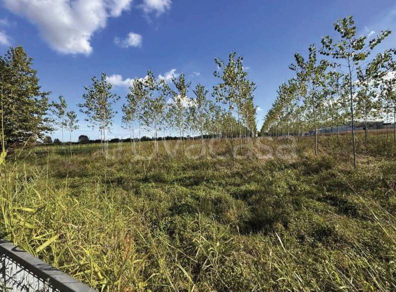 immagine annuncio 2 di 13