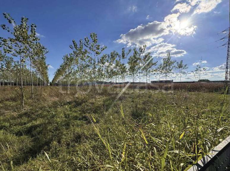 immagine annuncio 3 di 13