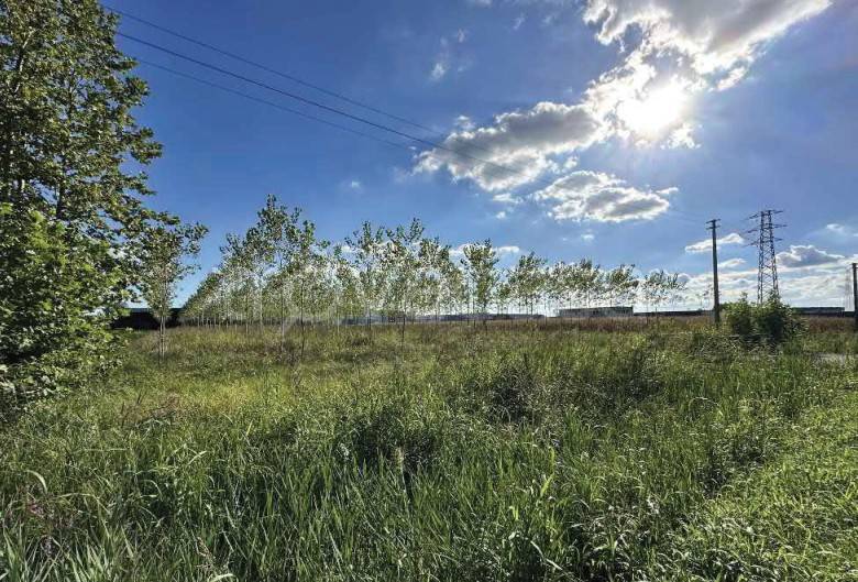 immagine annuncio 4 di 13