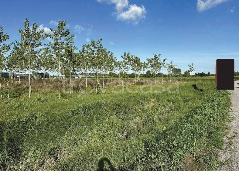 immagine annuncio 9 di 13