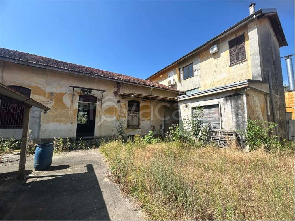 immagine annuncio 3 di 7