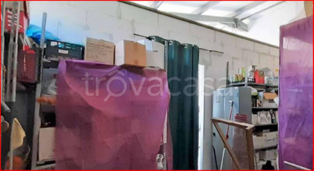 immagine annuncio 6 di 12