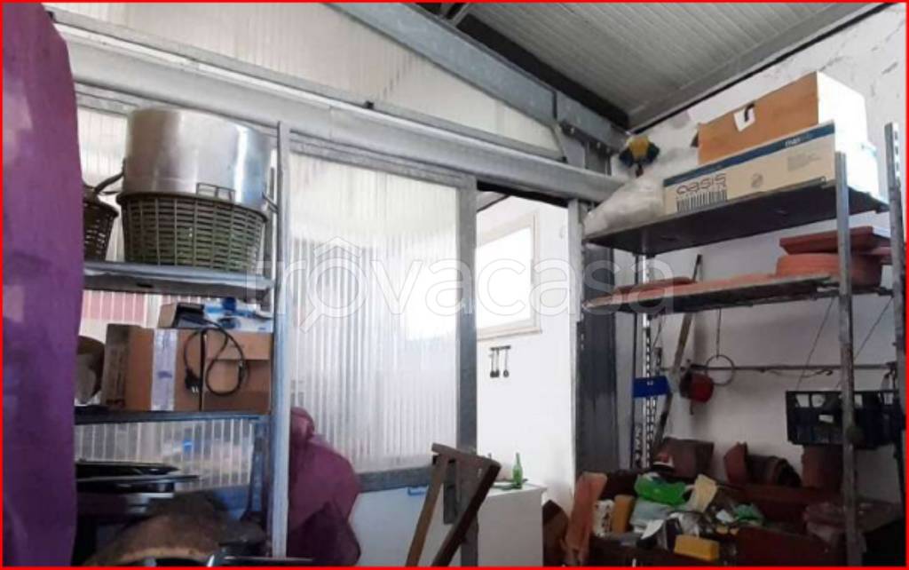 immagine annuncio 7 di 12