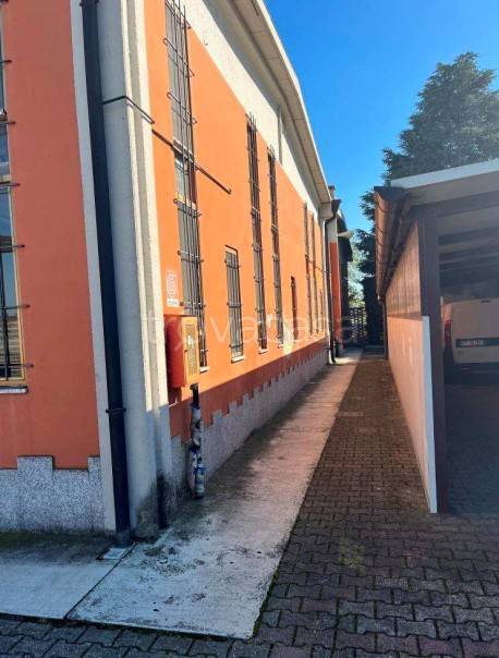 immagine annuncio 6 di 15