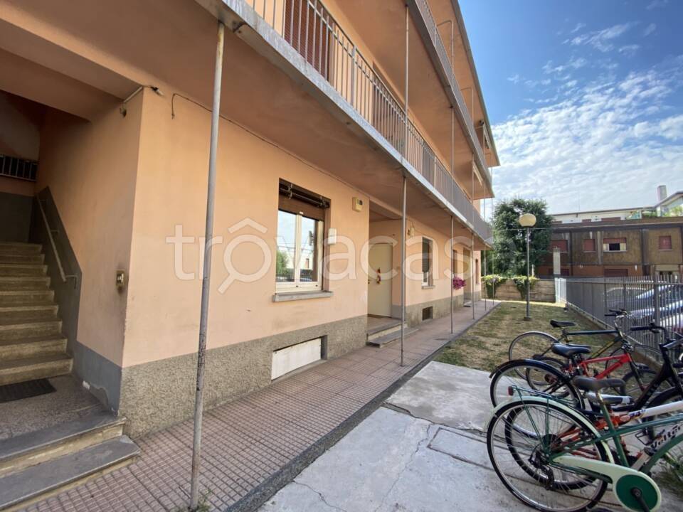 immagine annuncio 4 di 11