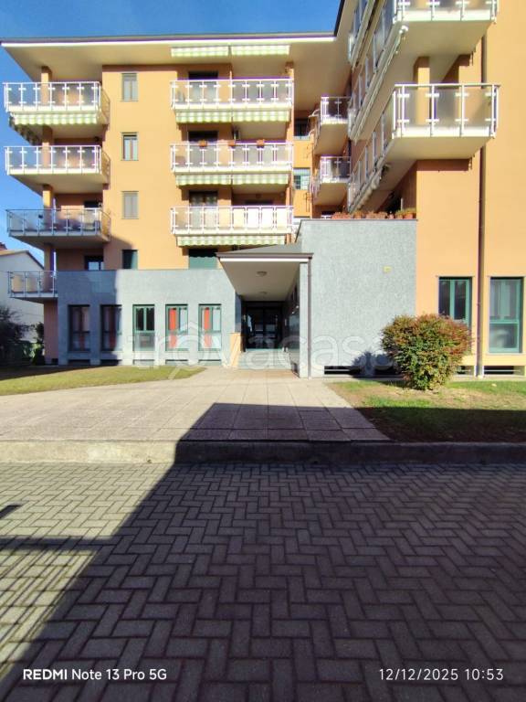 immagine annuncio 8 di 15