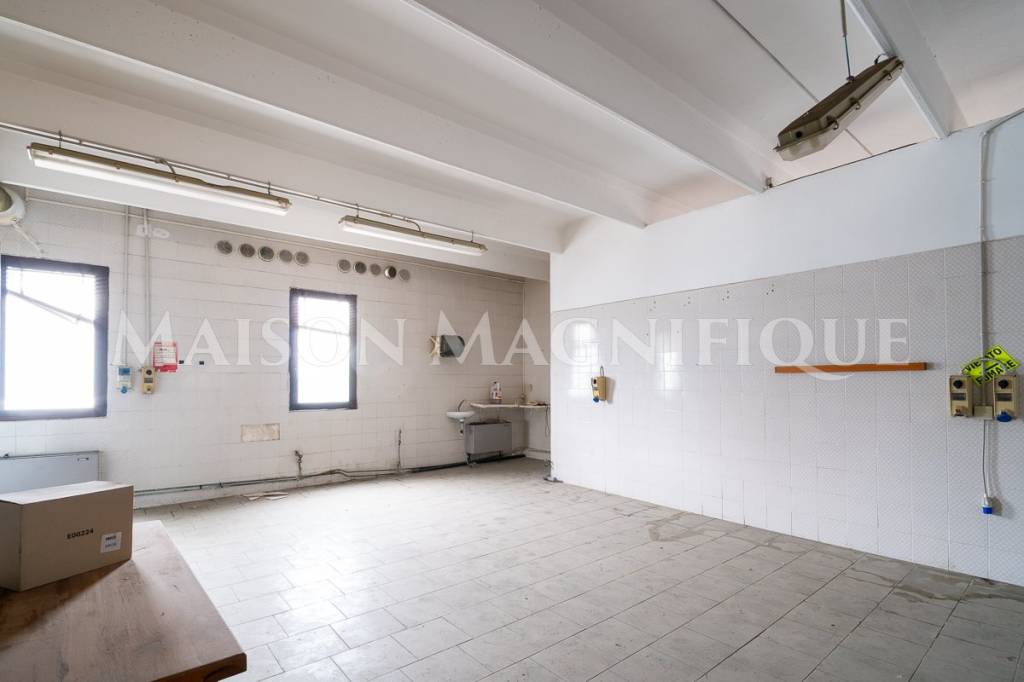 immagine annuncio 5 di 12