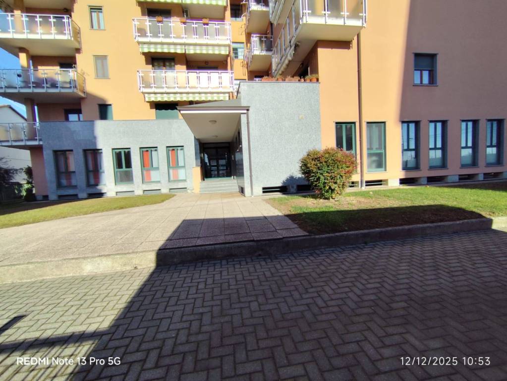 immagine annuncio 12 di 15