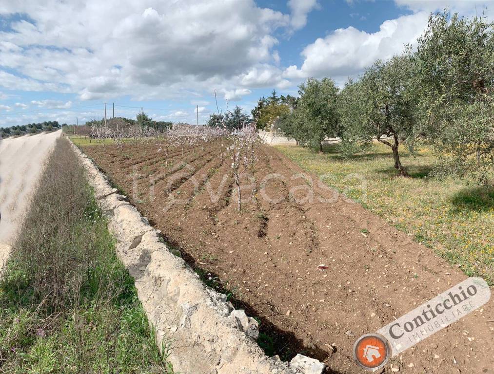 immagine annuncio 7 di 10