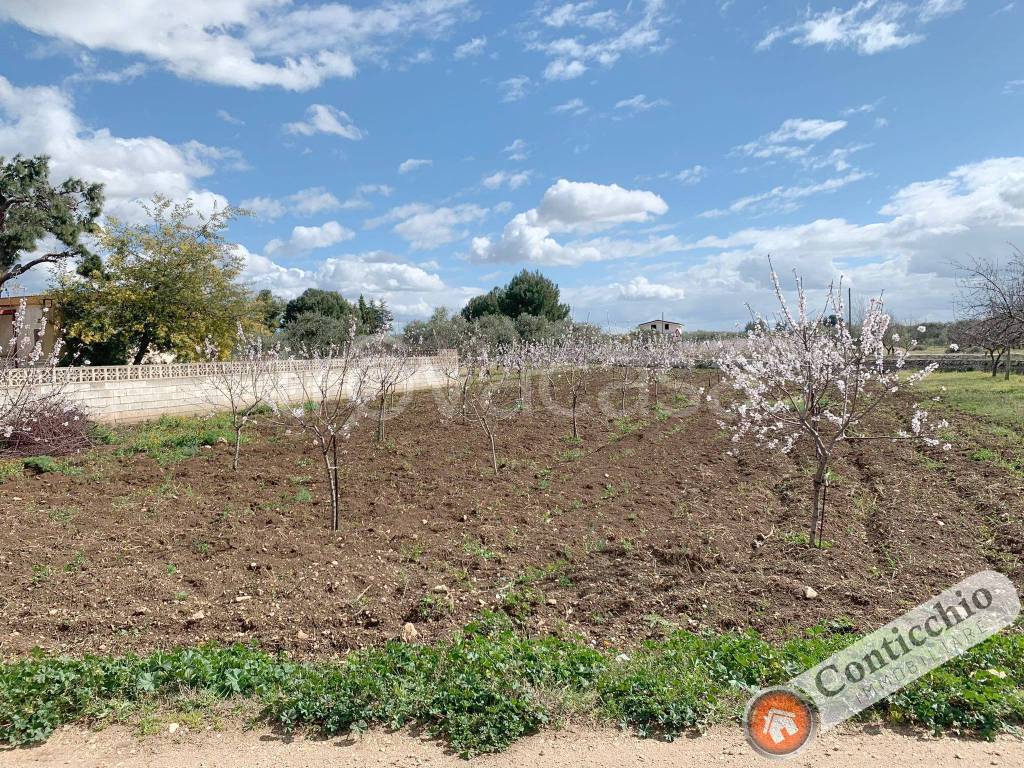 immagine annuncio 8 di 10