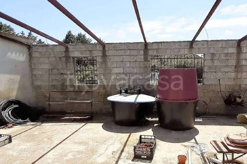 immagine annuncio 11 di 13