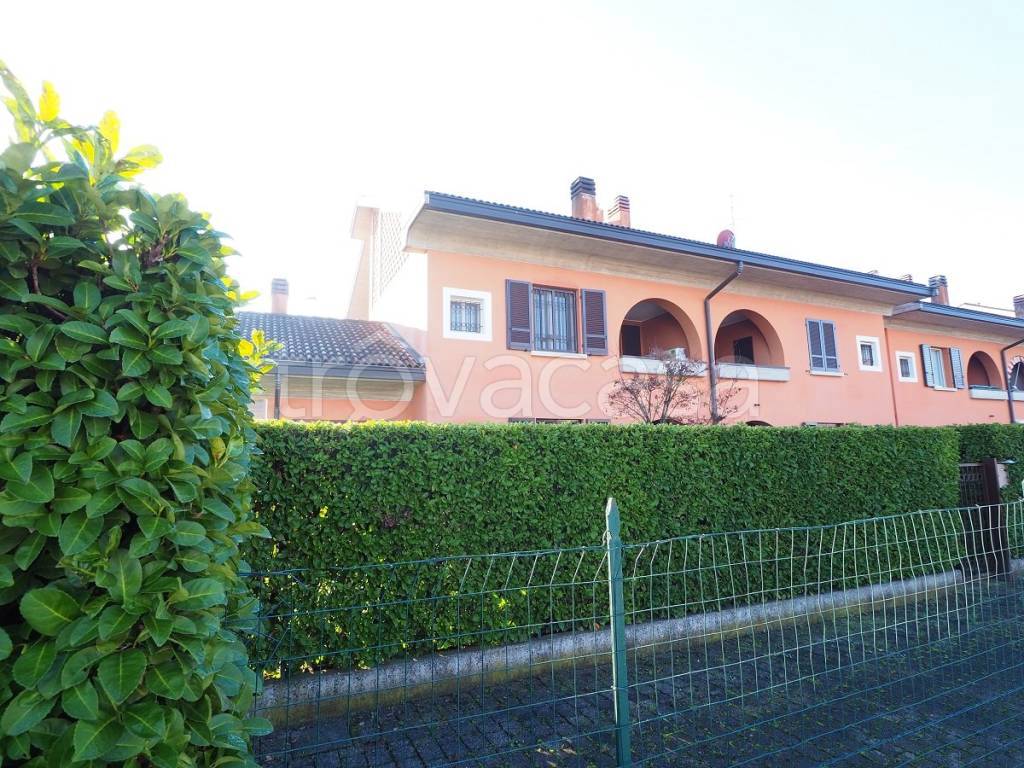 immagine annuncio 4 di 15