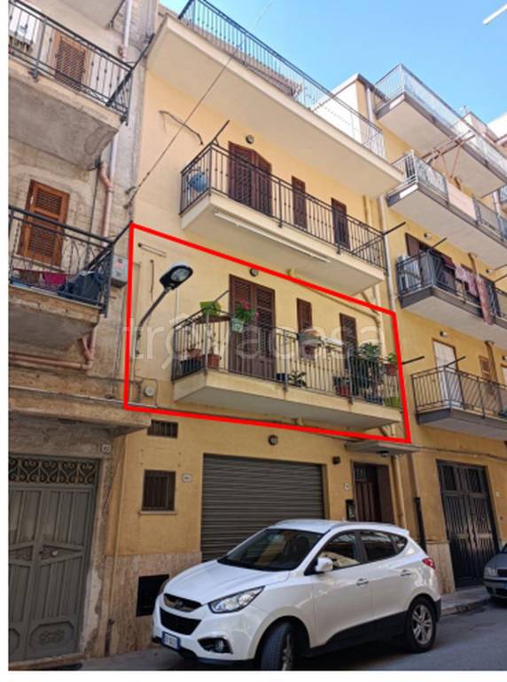 immagine annuncio 2 di 12