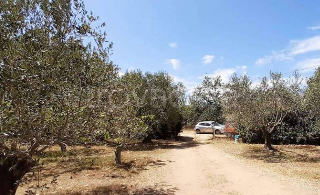 immagine annuncio 7 di 13