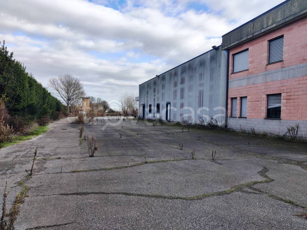 immagine annuncio 10 di 15