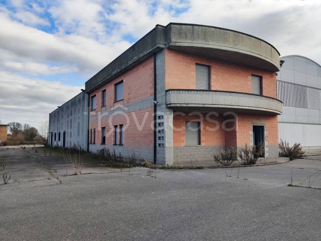 immagine annuncio 12 di 15