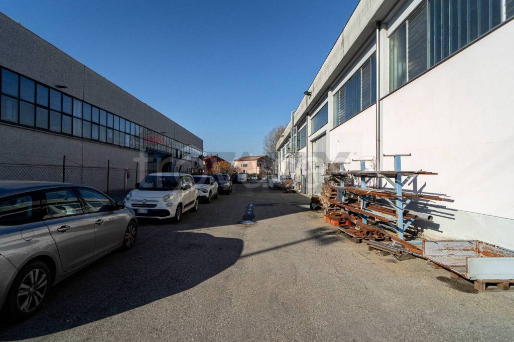 immagine annuncio 3 di 15