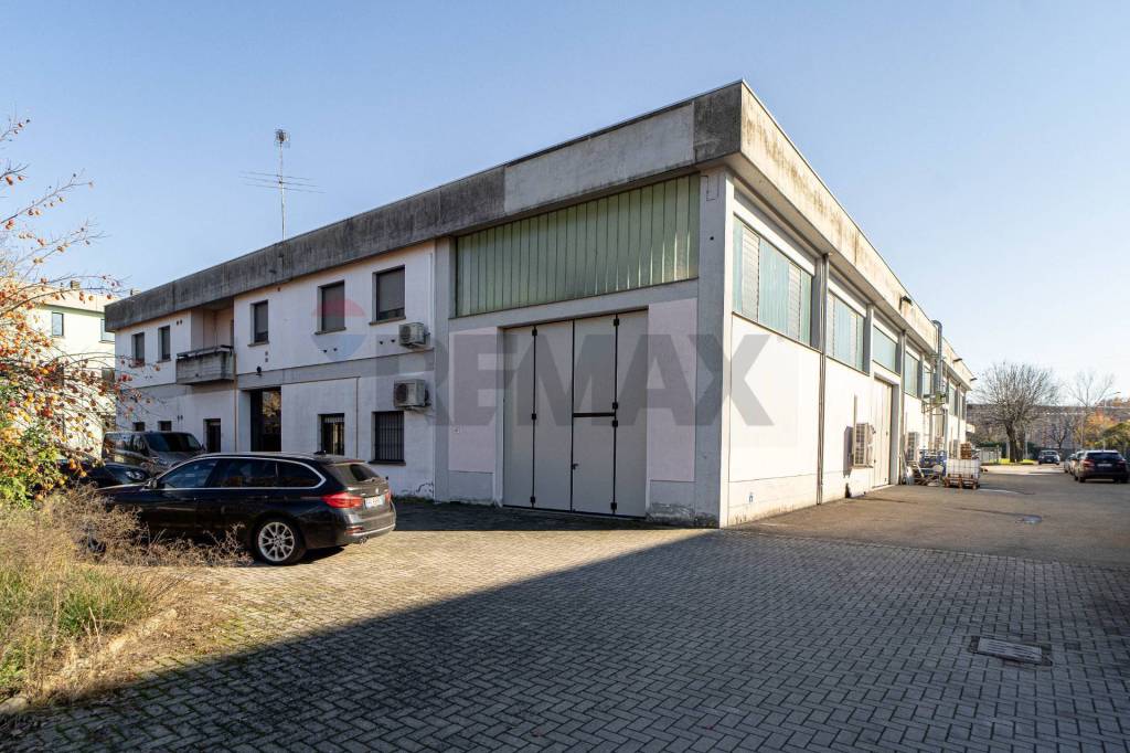 immagine annuncio 4 di 15