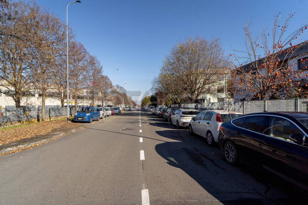 immagine annuncio 9 di 15