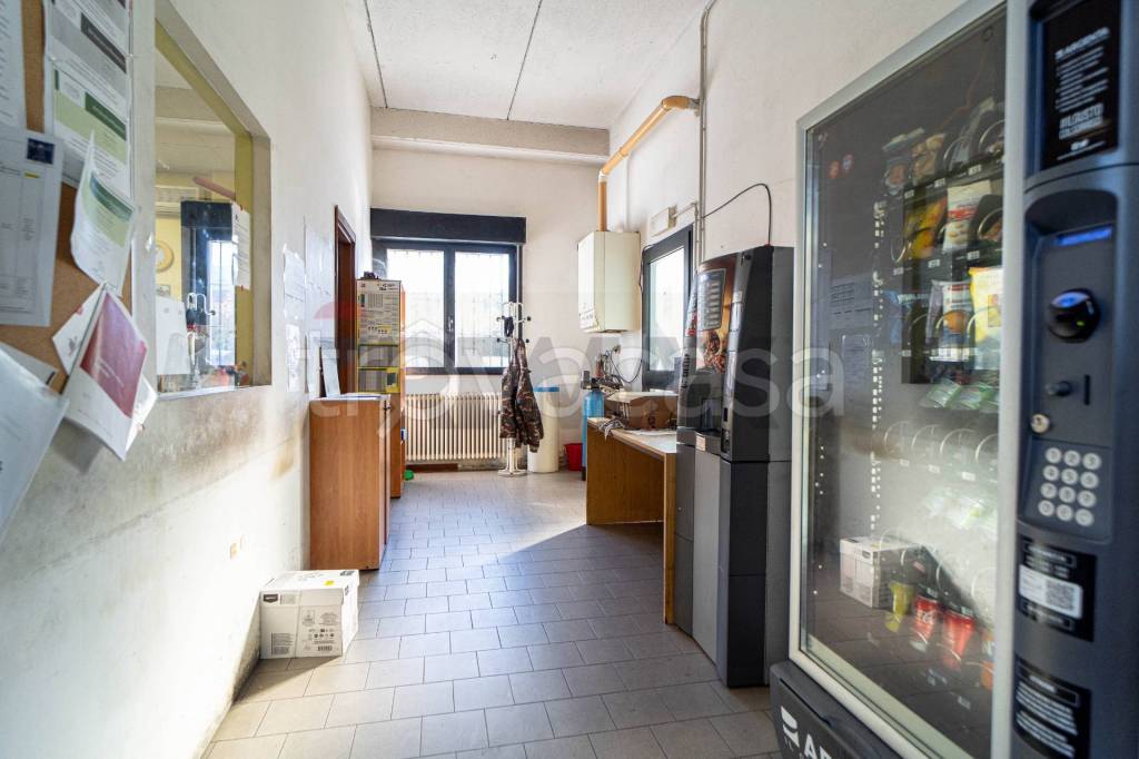 immagine annuncio 11 di 15