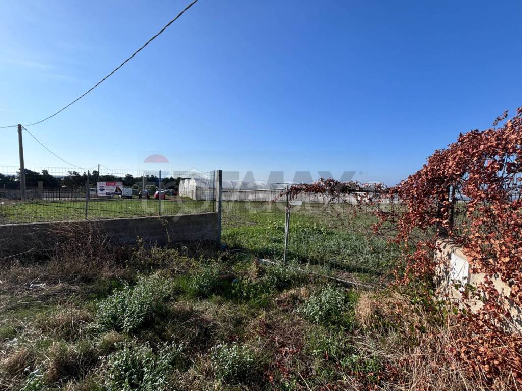 immagine annuncio 4 di 9