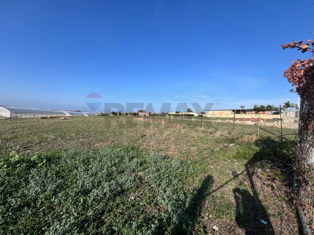 immagine annuncio 6 di 9