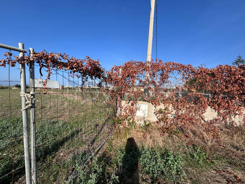 immagine annuncio 7 di 9