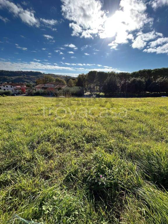 immagine annuncio 2 di 11