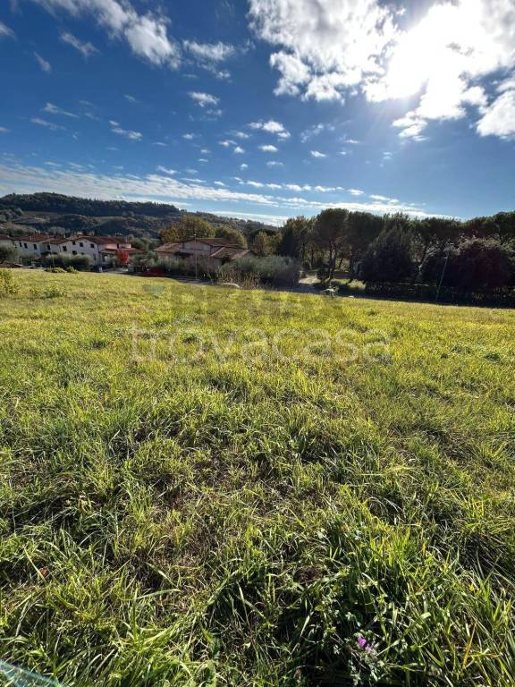 immagine annuncio 5 di 11