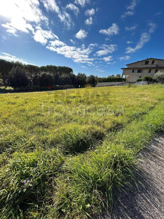 immagine annuncio 6 di 11