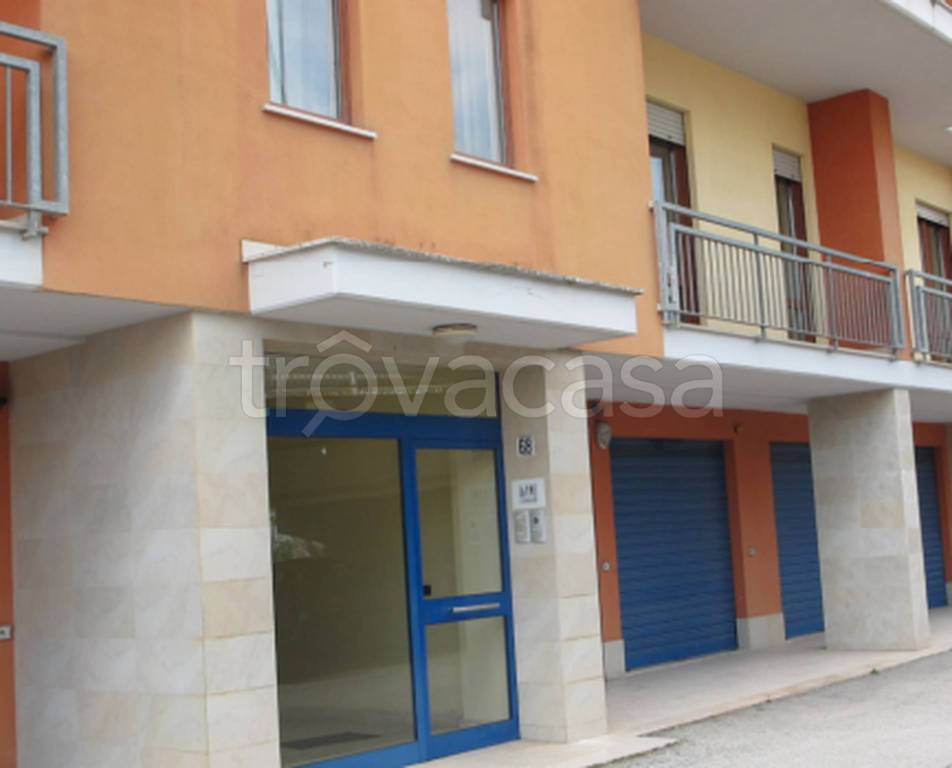 immagine annuncio 5 di 14