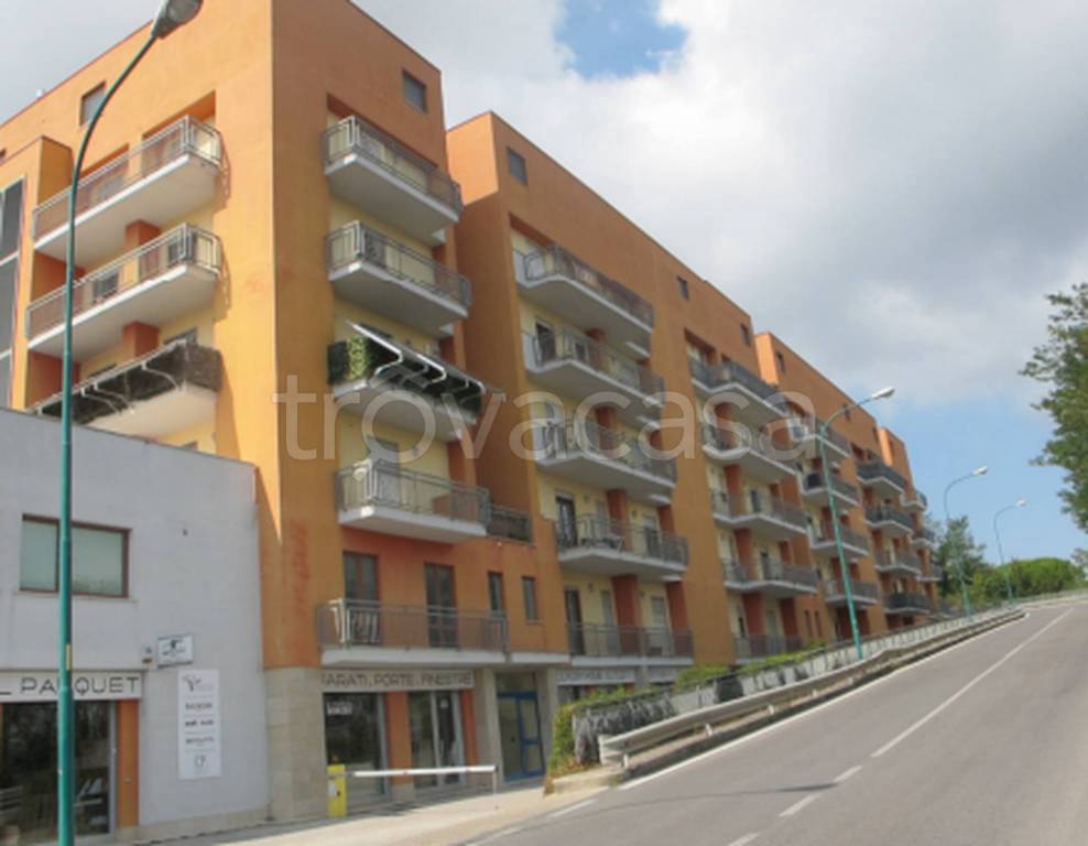 immagine annuncio 6 di 14