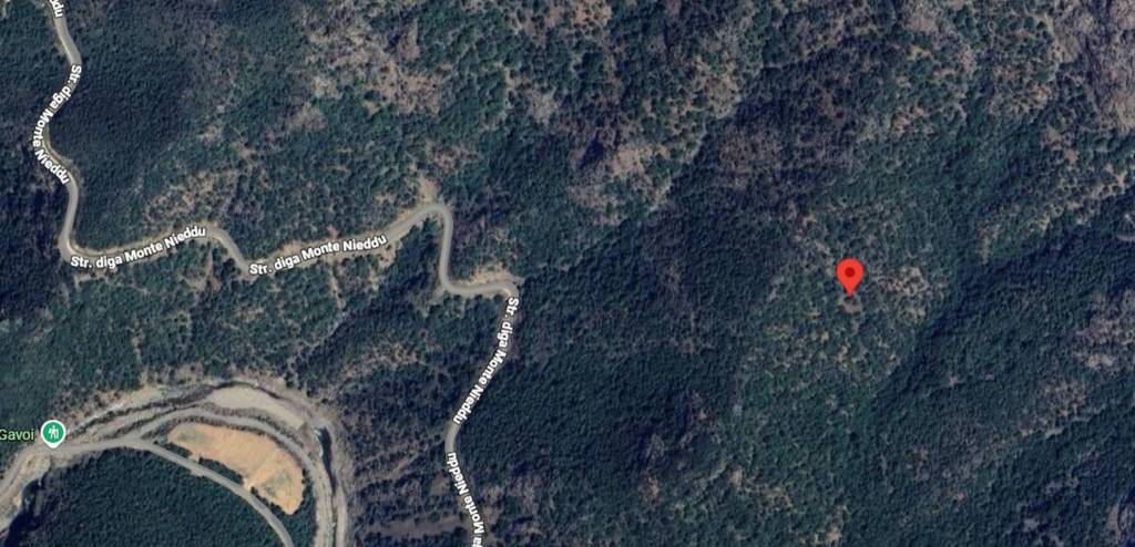 immagine annuncio 4 di 11