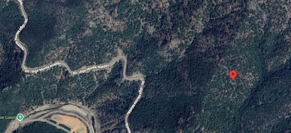 immagine annuncio 6 di 11