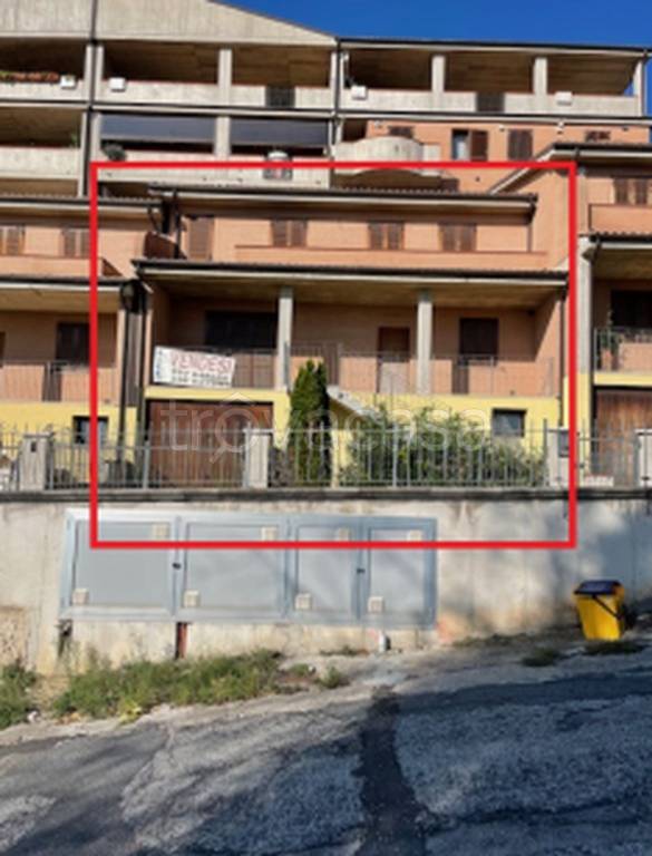 immagine annuncio 5 di 13