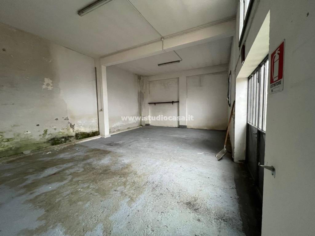 immagine annuncio 9 di 15