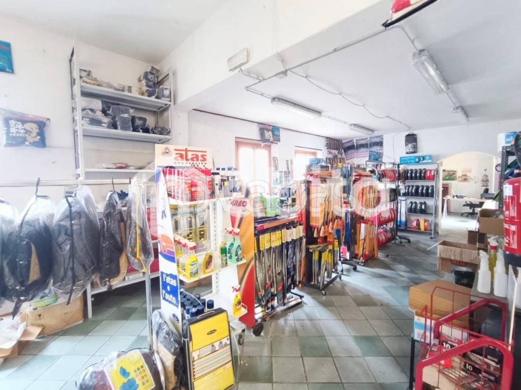 immagine annuncio 2 di 6