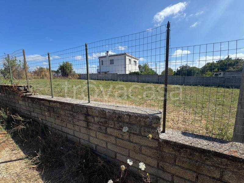 immagine annuncio 4 di 8