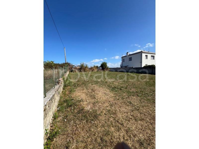 immagine annuncio 5 di 8