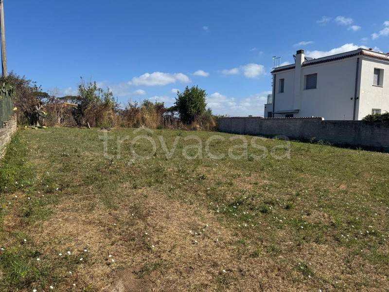 immagine annuncio 6 di 8