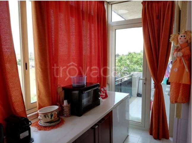 immagine annuncio 5 di 12