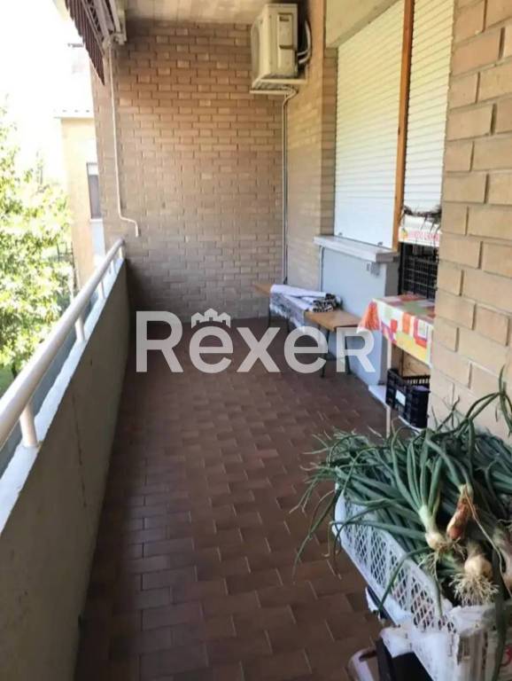 immagine annuncio 3 di 6