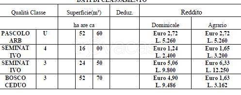 immagine annuncio 6 di 13